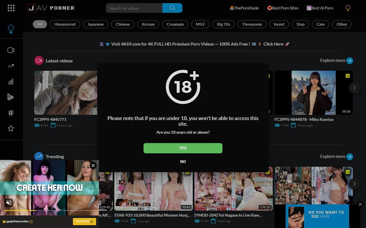 Screenshot: Avporner Website Review Screenshot of Avporner Website Review